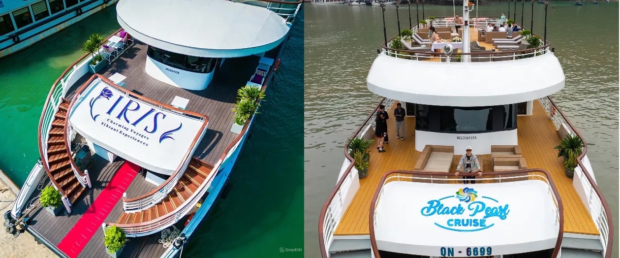 Du thuyền 99 chỗ có thiết kế 2 tầng vỏ thép tương đối giống nhau và thường chạy tour 6 tiếng tham quan Vịnh Hạ Long