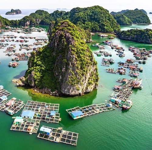 Tham quan Làng Chài cổ
